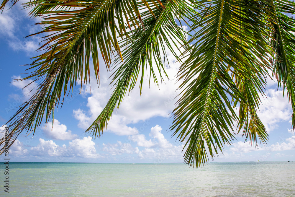 Punta Cana Punta Cana