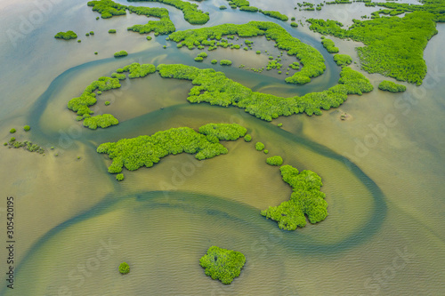 Aerial view of mangrove forest in the  Saloum Delta National Park, Joal Fadiout, Senegal. Photo made by drone from above. Africa Natural Landscape. photo