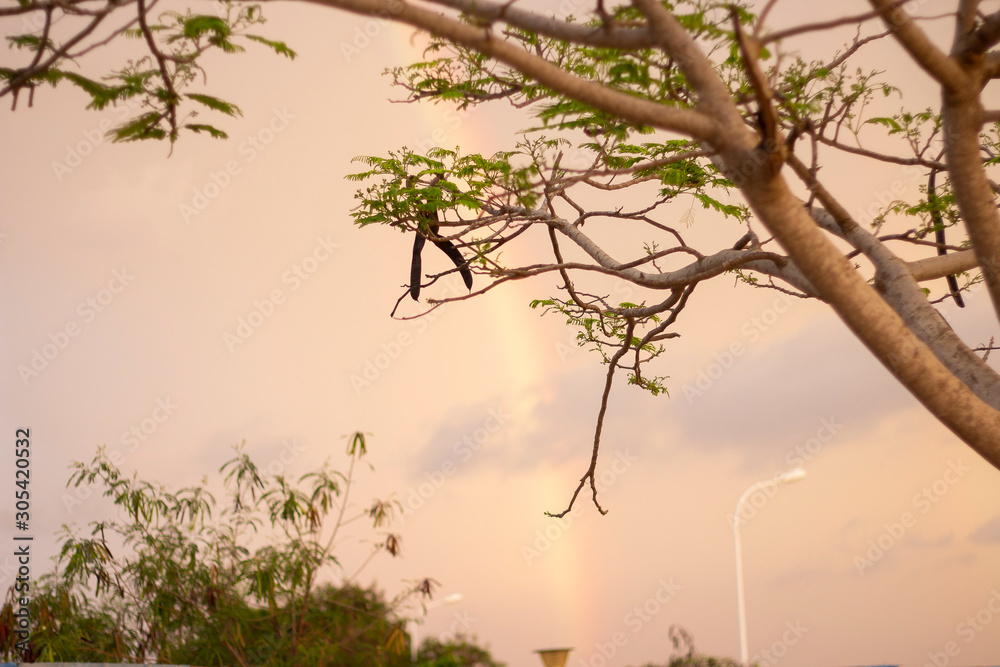 Fototapeta premium arco iris