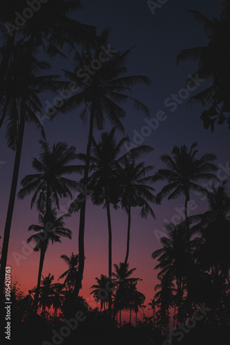 Palm trees at Crystal bay on Nusa Penida island