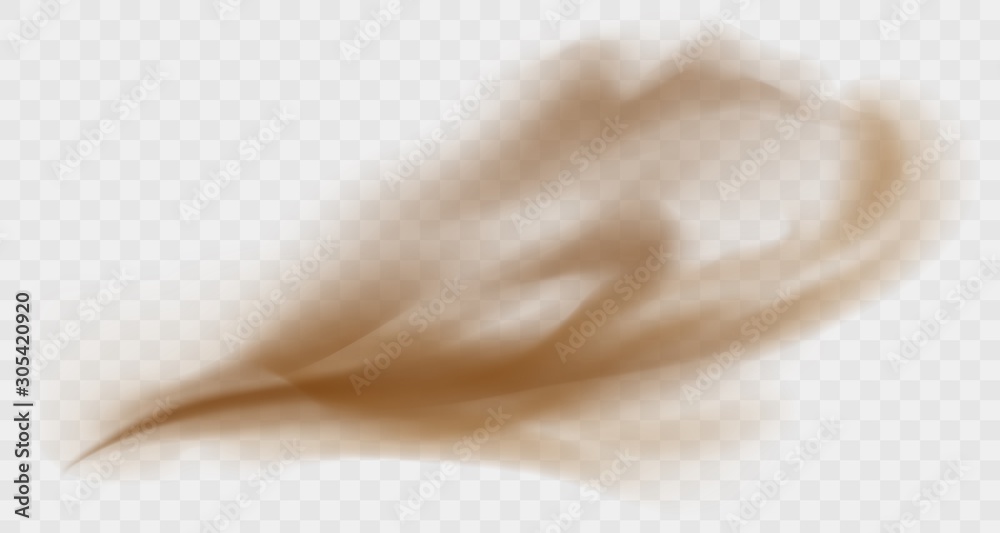 Dust cloud isolated on a transparent background. Brown sandstorm explosion in desert concept. Dirty sandy cloud vector illustration.