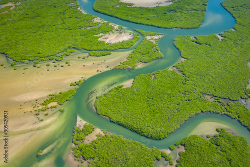 Aerial view of mangrove forest in the  Saloum Delta National Park, Joal Fadiout, Senegal. Photo made by drone from above. Africa Natural Landscape. photo