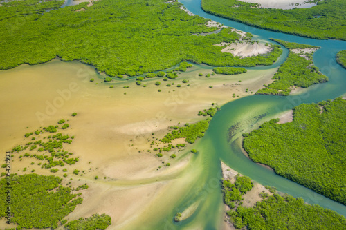 Aerial view of mangrove forest in the Saloum Delta National Park, Joal Fadiout, Senegal. Photo made by drone from above. Africa Natural Landscape.
