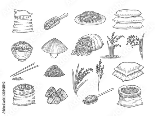 Rice sacks. Natural agriculture objects wheat grains rice food vector hand drawn collection. Illustration rice sack, grain and seed, stylized sketch organic