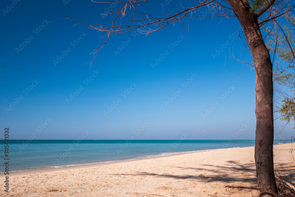 Beautiful sea and tree for background tropical sand beach and blue sky in sunny day