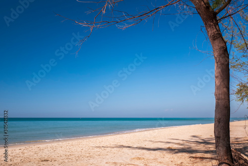 Beautiful sea and tree for background tropical sand beach and blue sky in sunny day
