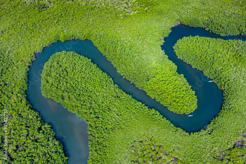 Aerial view of mangrove forest in Gambia. Photo made by drone from above. Africa Natural Landscape. photo