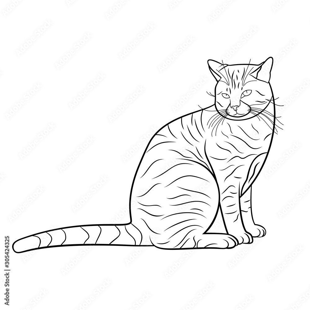 The cat is isolated on white background, line art