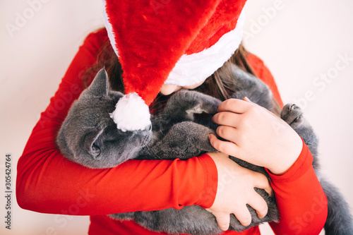 A teenager girl in a red fluffy Santa Claus hat and red sweater holding a fluffy gray British kitten in her arms. Christmas cozy hugging concept. Faceless, depersonalized portrait. New year cozy party