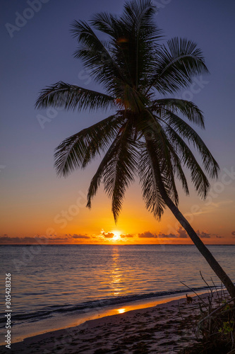 Punta Cana 