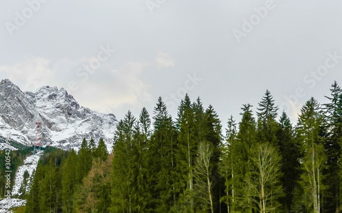 Panorama Nadelwald vor Zugspitze © pusteflower9024