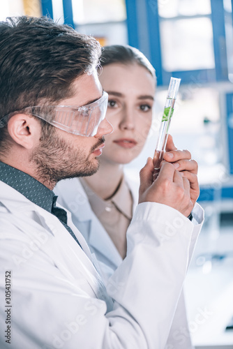 selective focus of bearded scientist in goggles looking at test tube with plant near attractive coworker