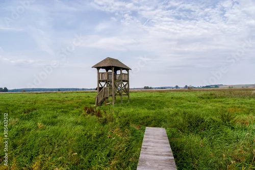 Obraz Narwiański Park Narodowy - Narwiańskie Bagna - Natura 2000, Narew, Podlasie, Polska