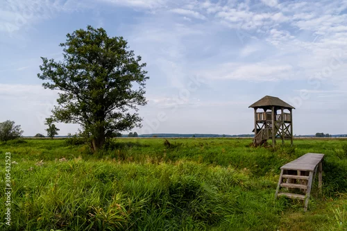 Obraz Narwiański Park Narodowy - Narwiańskie Bagna - Natura 2000, Narew, Podlasie, Polska
