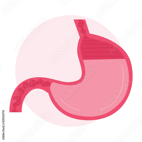 Stomach treatment concept. Health examination, doctor stand