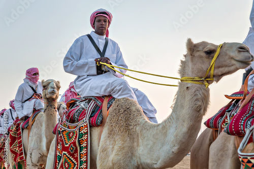 Desert  safari camel ride festival in Abqaiq Dammam Saudi Arabia. photo