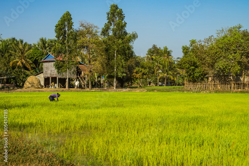 Beautiful Countryside trip in tropical rural district, Siem Reap, Cambodia