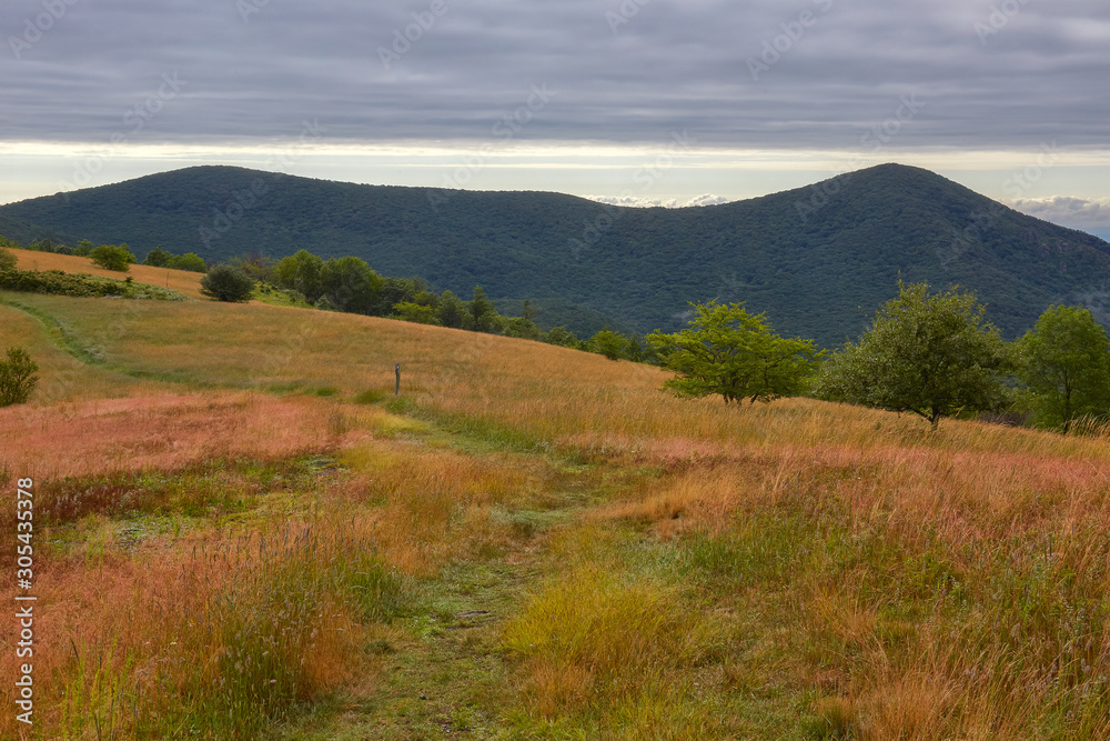 View of Pompey Mountain and Mount Pleasant from near the summit of Cole Mountain, located along the Appalachian Trail in Amherst county, Virginia