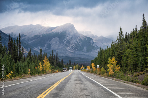 Scenic road trip with rocky mountain in autumn pine forest at Banff national park