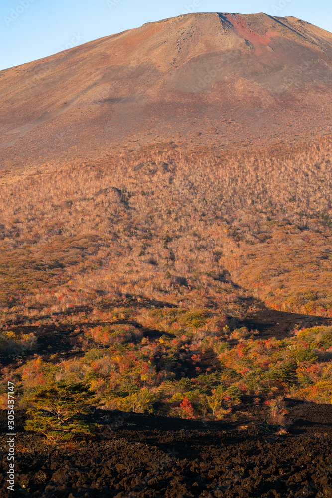 岩手県八幡平　焼走り溶岩流と岩手山の山肌の紅葉景色	