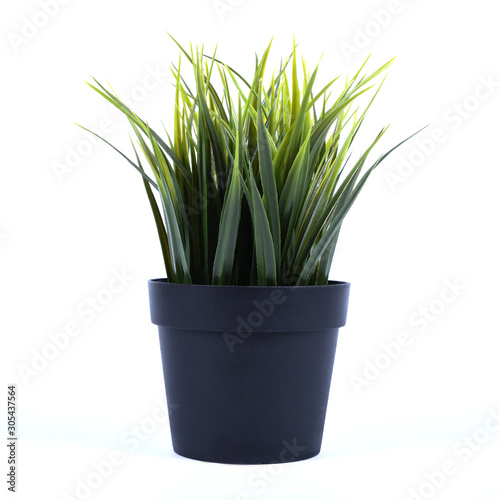  Artificial flowers grass different form in a pot isolated on white background close up 