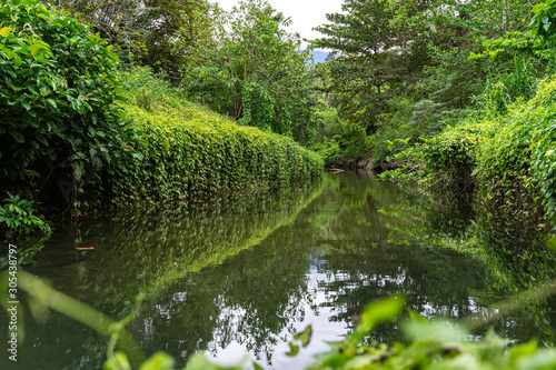 Nature  river in the middle of the forest in Thailand