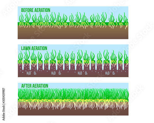After and Before Lawn Aeration stage illustration. Gardening long grass lawn care, landscaping service. Vector stock design isolated on white