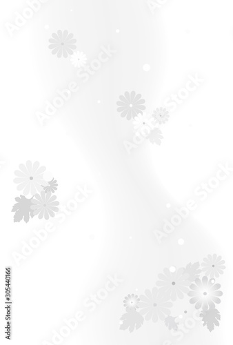 喪中はがき　菊の花