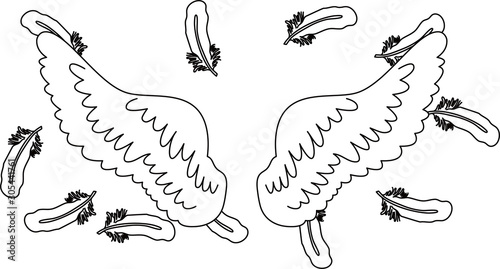 Angel wings of feathers fluttering