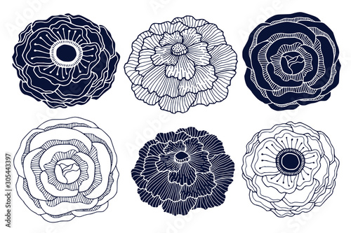 Floral silhouette and linear art design. Interior sticker print with roses, anemone and peony flower. Botanical flowers decoration for invitation card and boutique logo