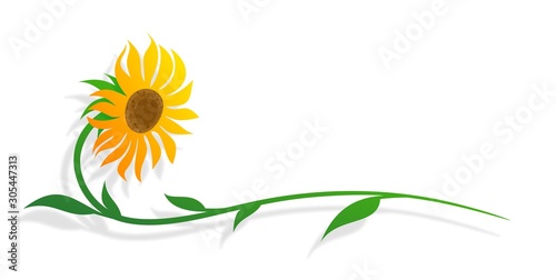 The symbol of yellow field sunflower.