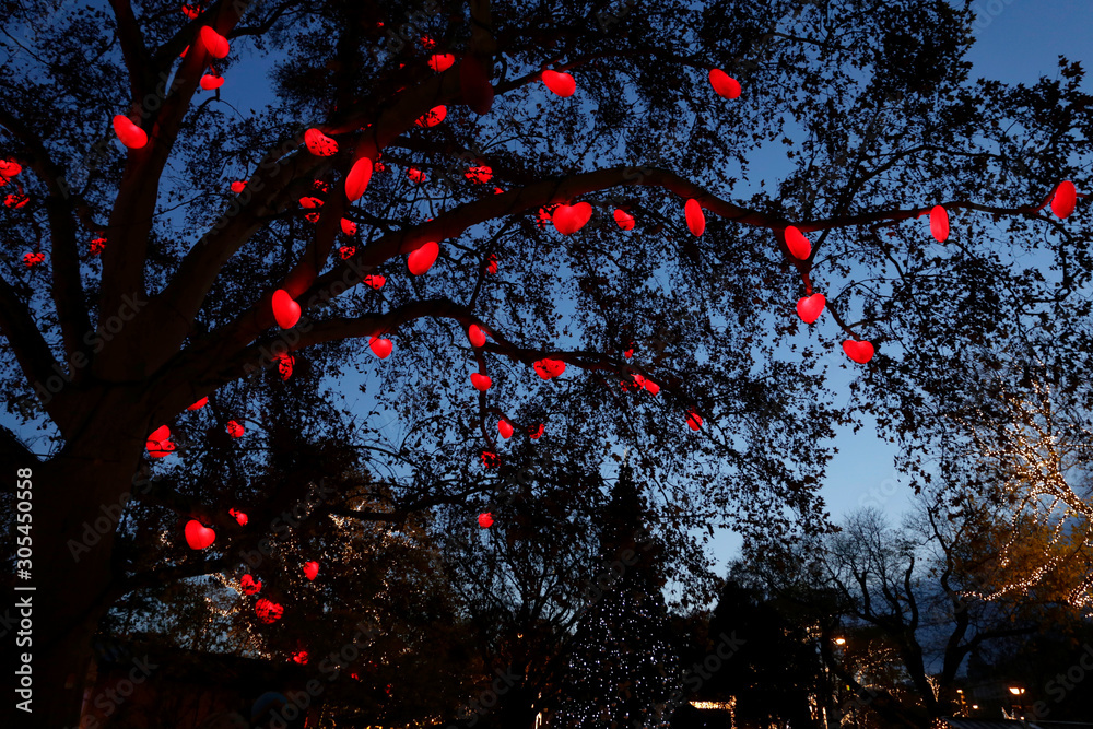 Illuminated tree deals