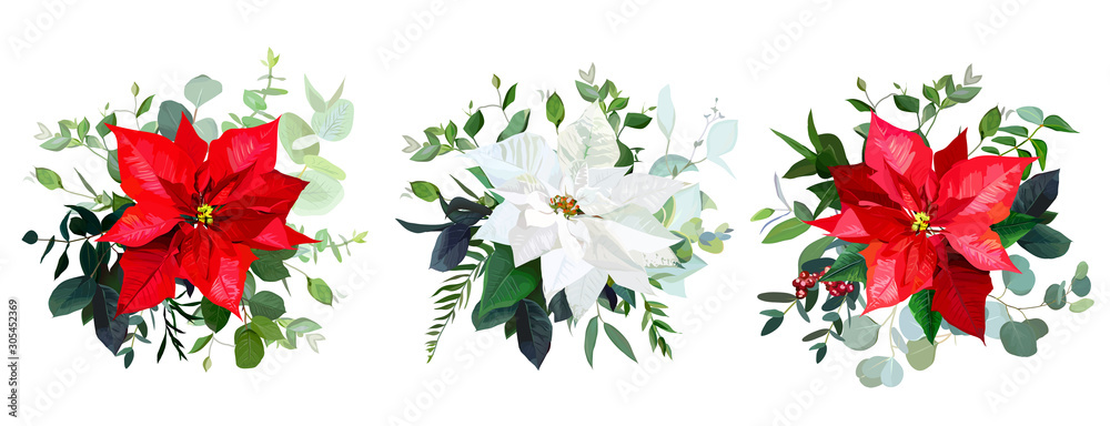 Red poinsettia flowers, christmas greenery, emerald eucalyptus Red poinsettia flowers, christmas greenery, emerald eucalyptus