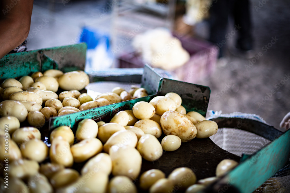 Potato harvest. Packing potatoes into net bags in a farm storage. Potato harvest. Packing potatoes into net bags in a farm storage.