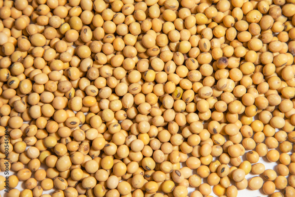 Soybeans background . Dry Soy bean or soya bean in a bowl with some soybeans in wooden spoon on white background Soybeans background . Dry Soy bean or soya bean in a bowl with some soybeans in wooden spoon on white background