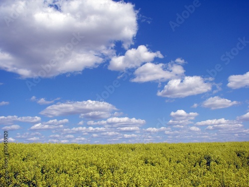 Błękit.