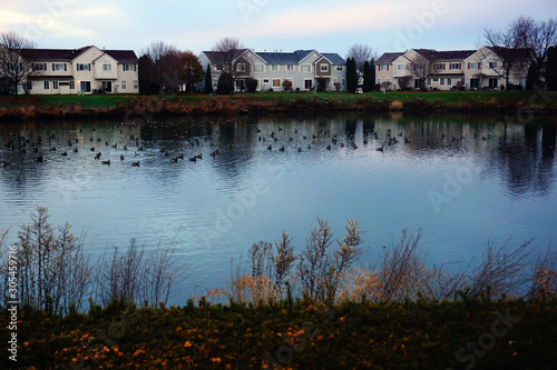 landscape with lake