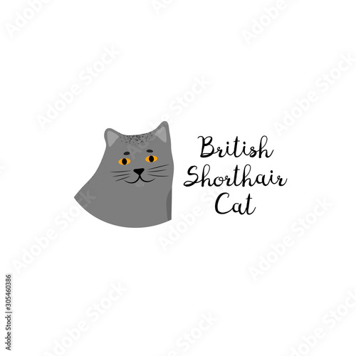 Cute portrait cartoon style of cat. Icon of british shorthair breed for a different design.