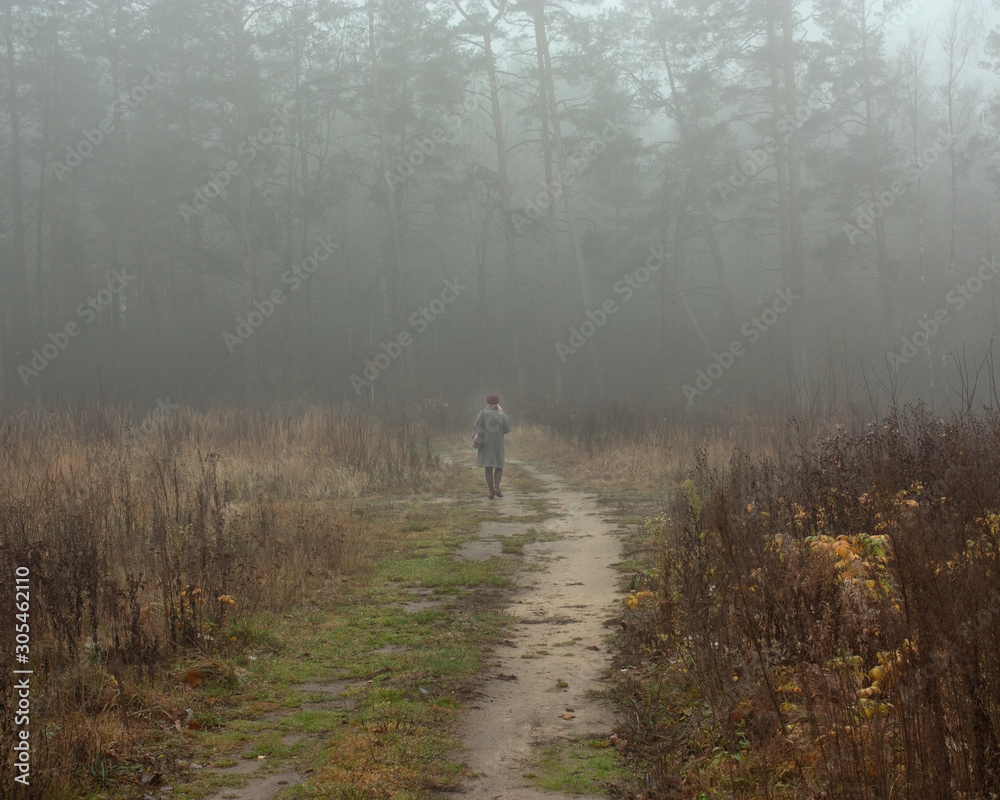 Surroundings of Grodno. Belarus. A country road and a girl leaving it in the morning autumn fog. Surroundings of Grodno. Belarus. A country road and a girl leaving it in the morning autumn fog.