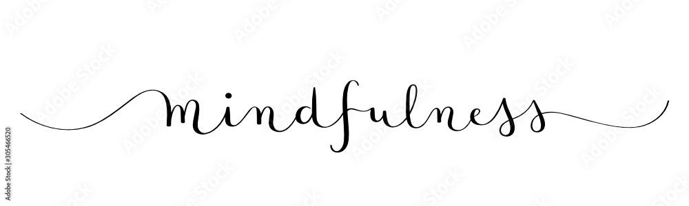 MINDFULNESS black vector brush calligraphy banner with swashes MINDFULNESS black vector brush calligraphy banner with swashes
