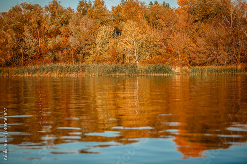 Autumn forest lake reflection landscape