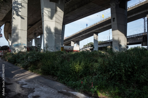 highway pillars with trees