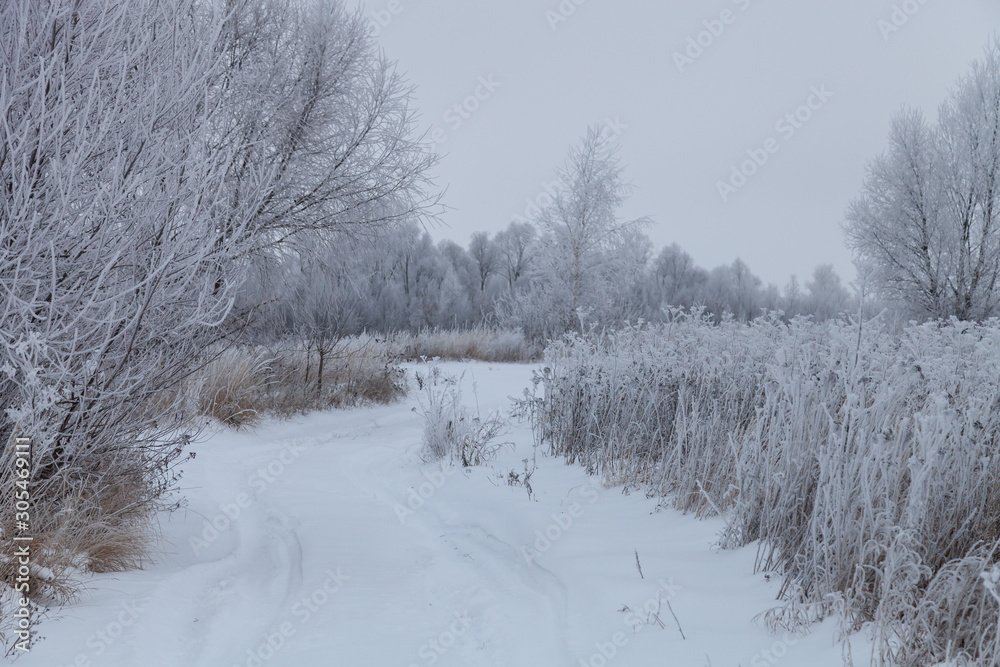 Fototapeta premium Beautiful winter landscape in russian province