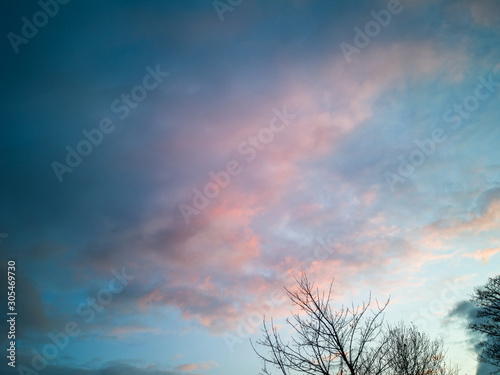 Evening sky at dusk with pink clouds and blue sky with trees 