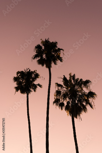 three palm trees stand above red sunset sky