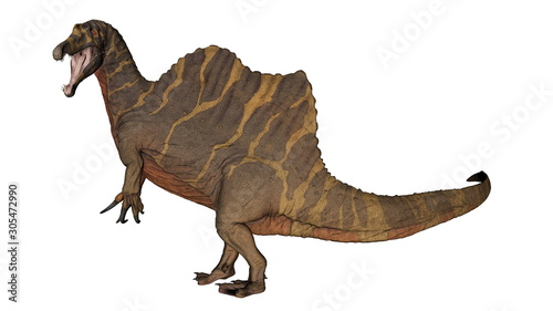 Spinosaurus dinosaur raoring while walking - 3D render