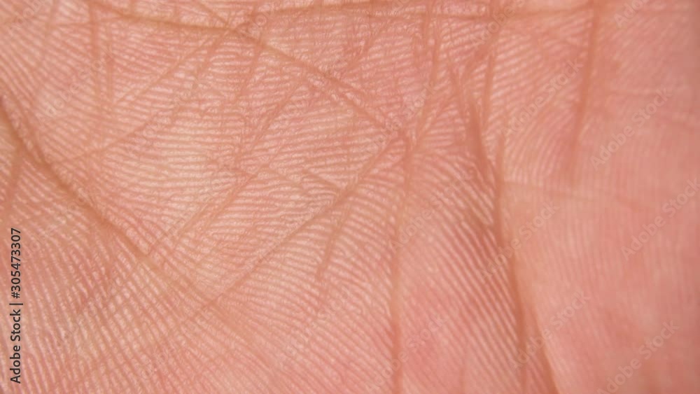Close Up Macro Shot Of The Skin Surface Texture And Lines Of Human 