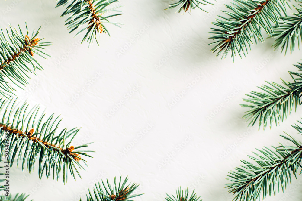 Fir branches on a white background with free space in the center of the composition. Winter layout. Fir branches on a white background with free space in the center of the composition. Winter layout.