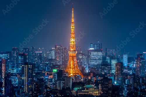 Night view of Tokyo Japan                          