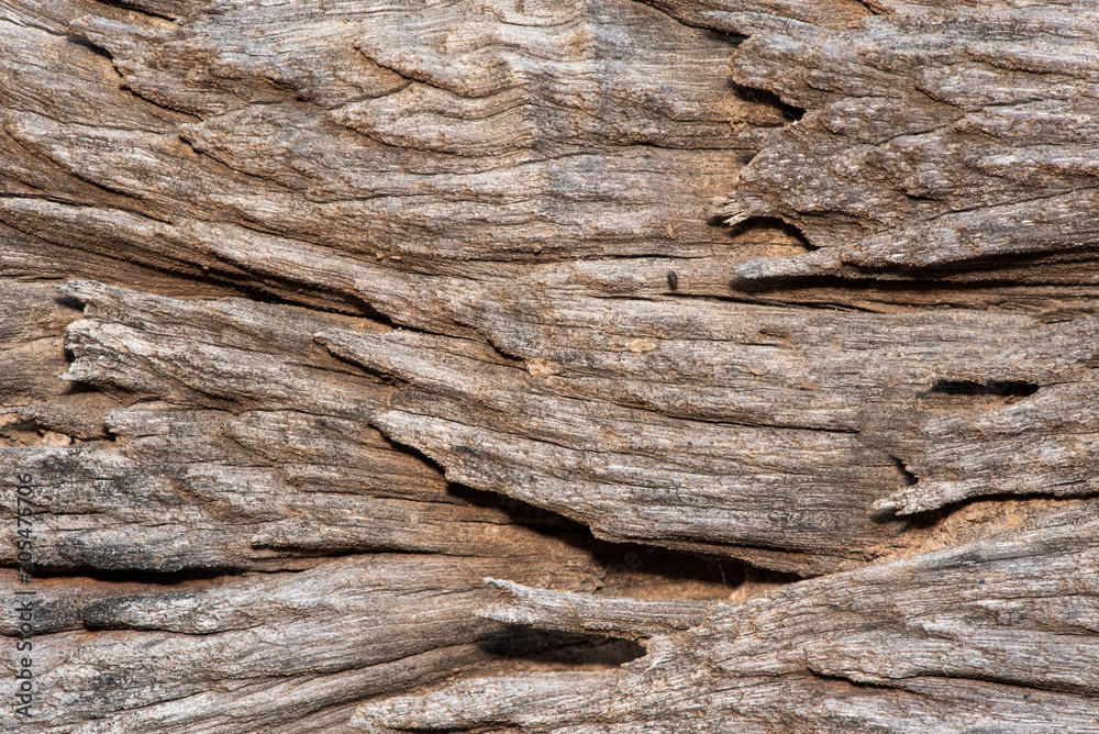 Natural old wood texture background. Natural old wood texture background.